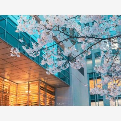 山海经之白泽传说999大礼包下载